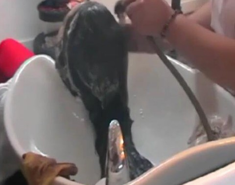 2 FRIENDS, 2 SHAMPOOS IN THE SAME VIDEO