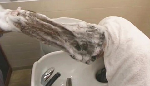 THE SECRETS OF A VERY DIFFERENT SHAMPOO (PART2)